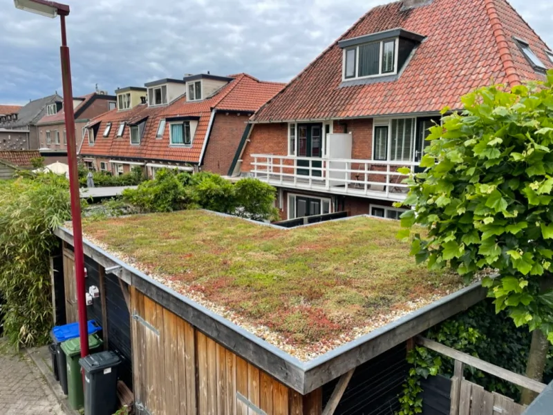 Groen dak aanleggen in Leiden