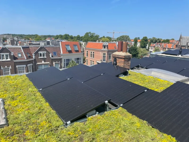 groen dak met zonnepanelen