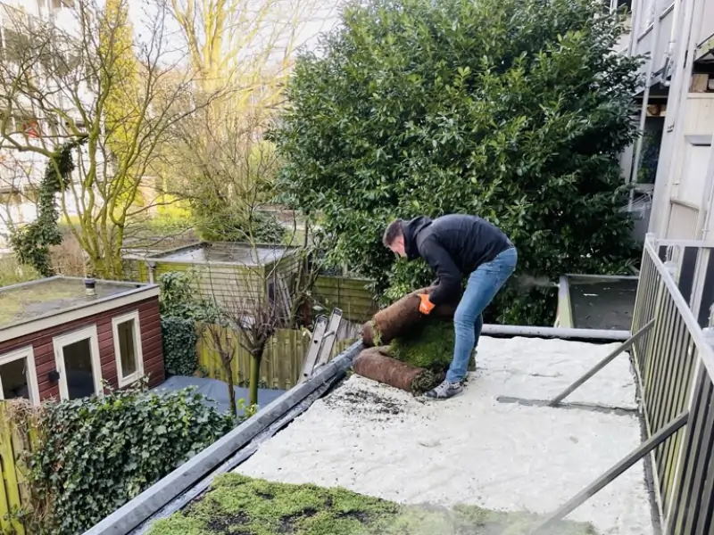 Het aanleggen van een groen dak in Amsterdam