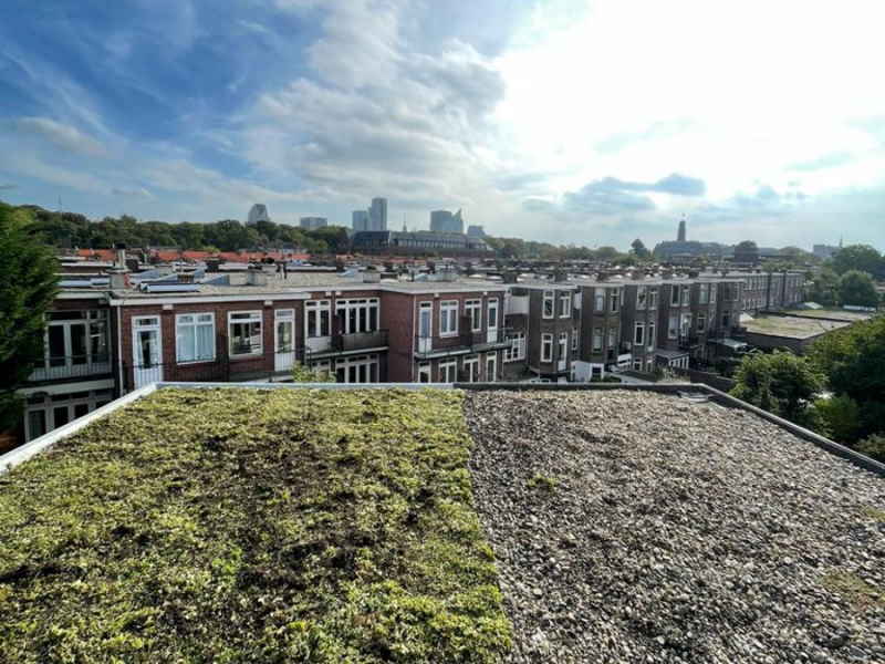 Een-groen-dak-versus-een-traditioneel-dak