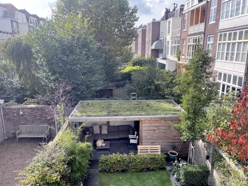 Groen dak aan de koninginnengracht in Den Haag