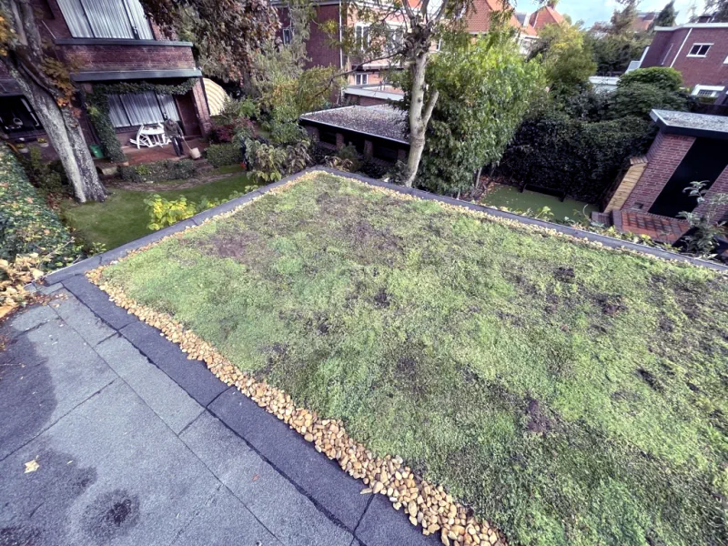 Groen-dak-met-aanzicht-op-de-tuin