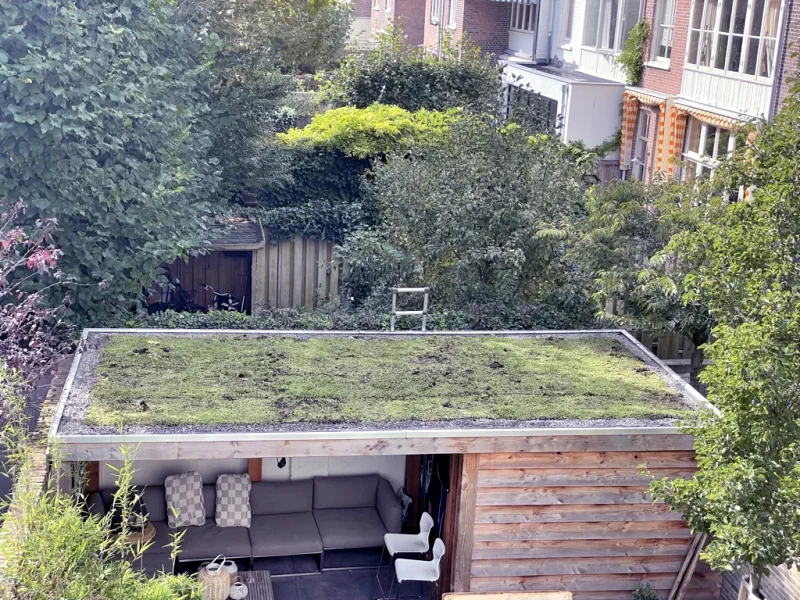 Uitzich op groendak in Den Haag