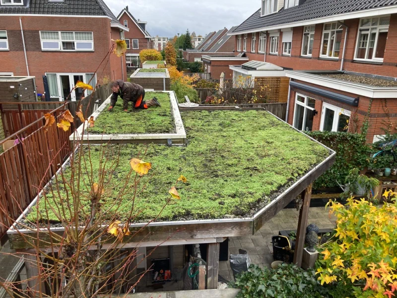 Mooi-groendak-in-Bleiswijk