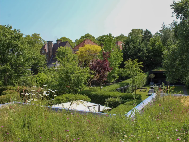 Bovenaanzicht-groendak-in-Voorburg