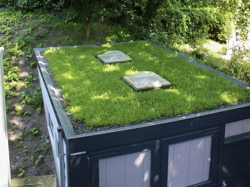 Groendak-aan-de-nieuwe-parklaan