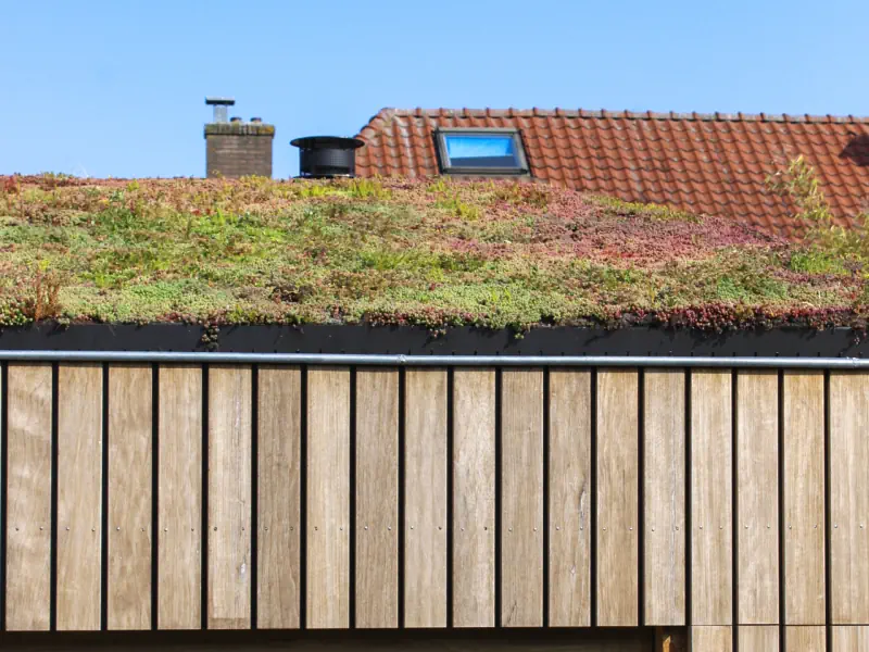 Groendak-detail-voorburg
