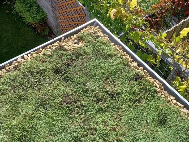 Bladvanger-van-groendak-naaldwijk