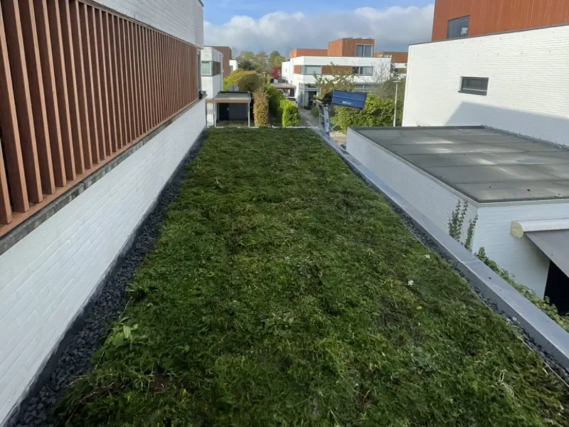 Groen-dak-op-uitbouw-Meppel