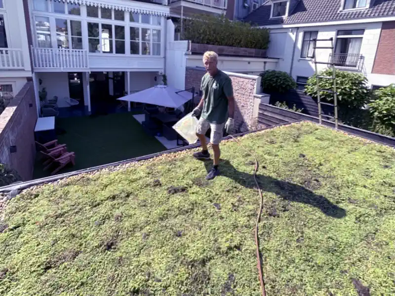 Het groendak in Nieuwegein is af