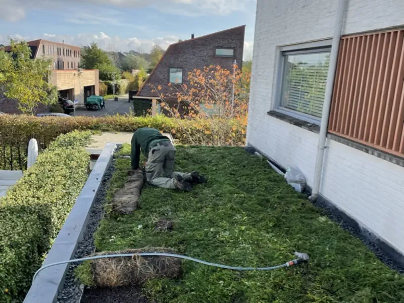 Specialist-legt-groendak-aan