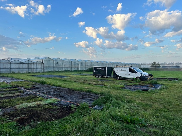 Groen dak opslag Monster