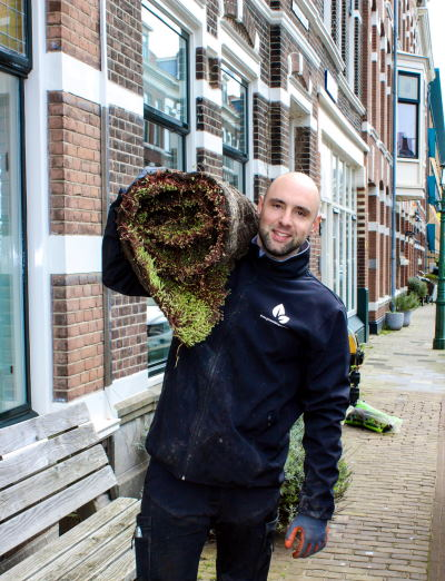 Noud