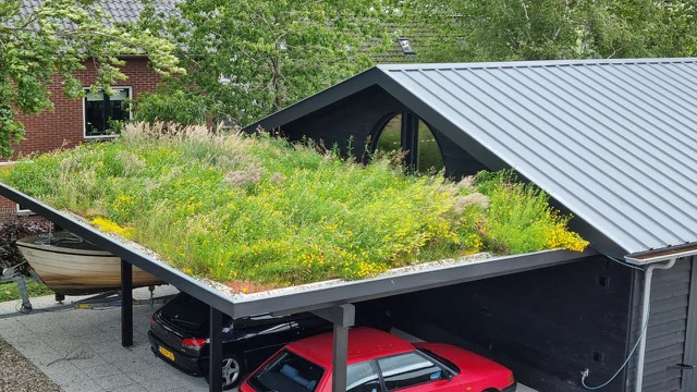 Carport inheemse dakbloemenweide