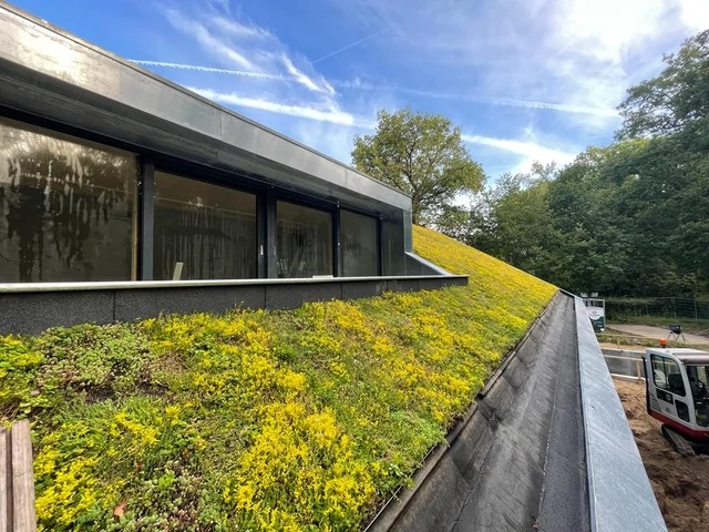 Groen dak hellend dak