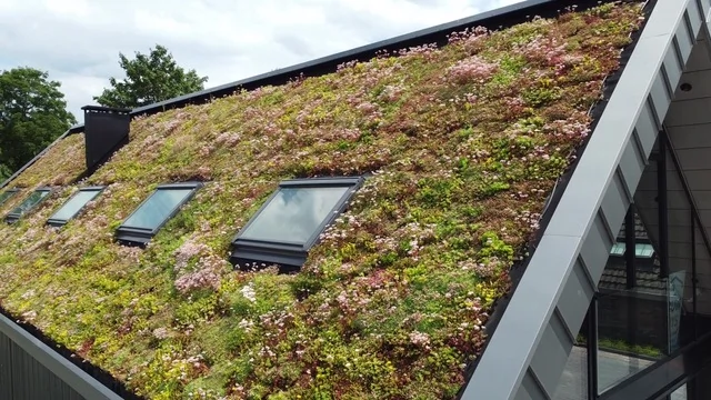 Groen dak hellend