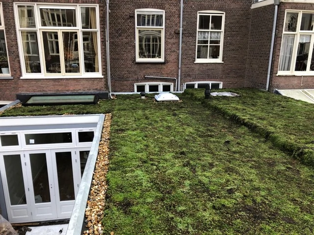 Groen dak isolatie met XPS