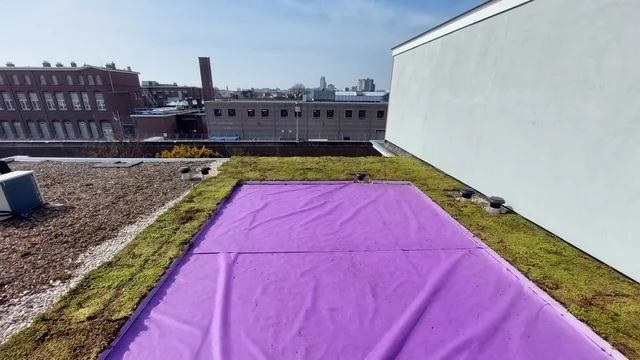 Isolatie met XPS groendak