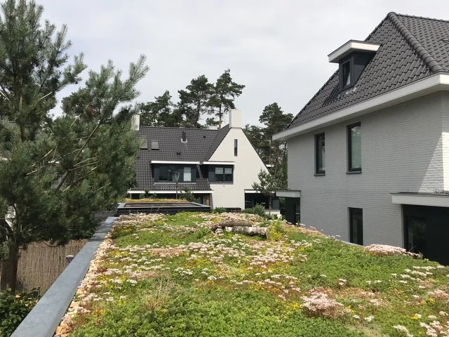 Sedum dak garage