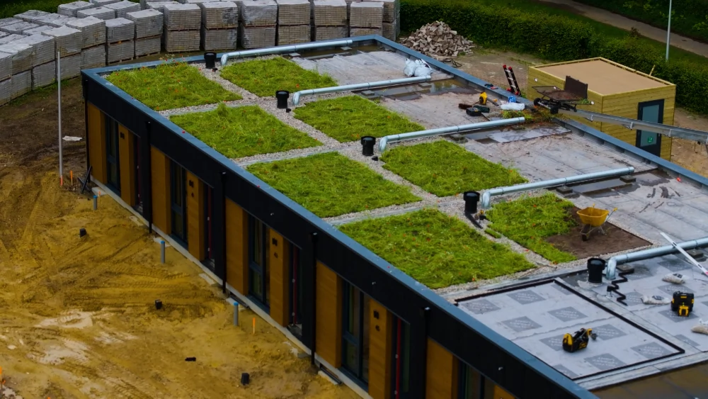 Groen dak project Sittard