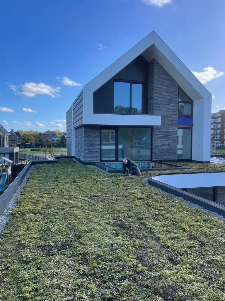 Sedumdak Vroondaal Den Haag