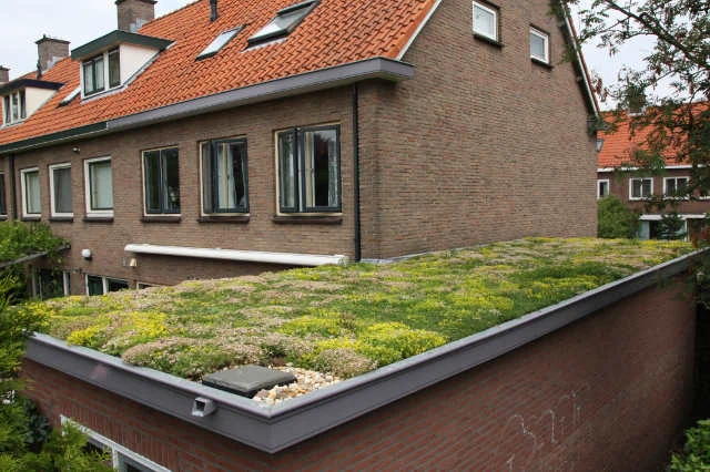 Groendak onderhoud kosten