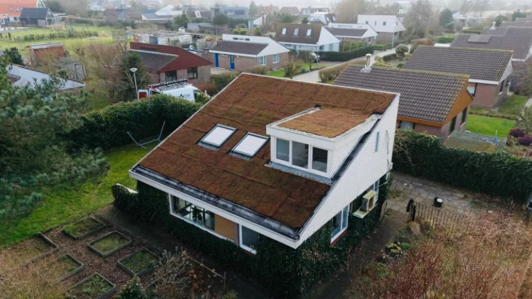 Hellend sedum dak Egmond aan den Hoef
