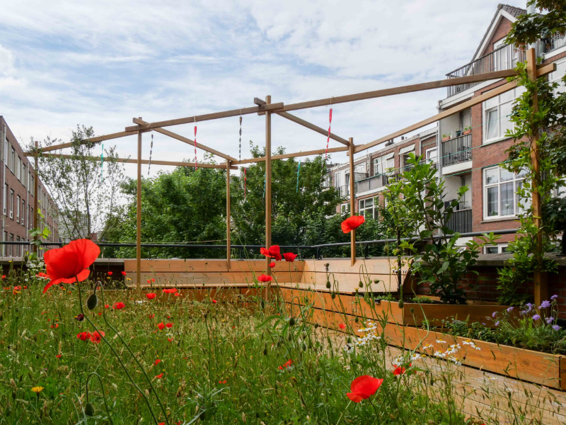 Daktuin met bloemenveld en houten pergola tussen appartementen