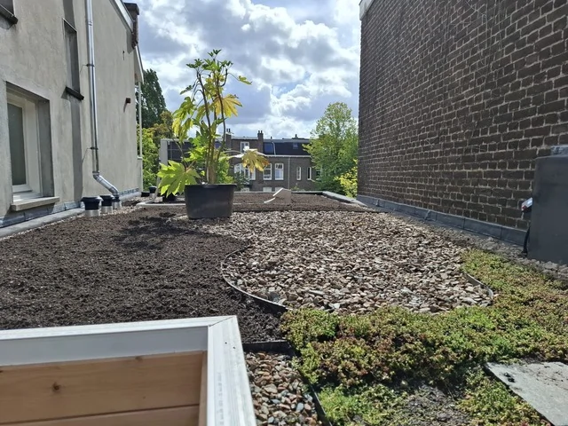 Aanleg van een daktuin met substraat, grindranden en jonge beplanting door Groendakspecialist