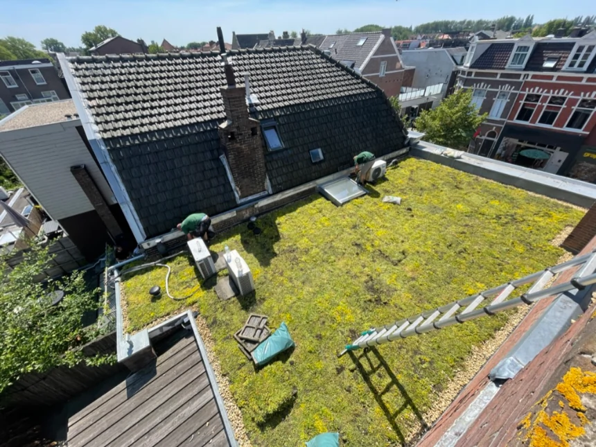 Groen dak voordelen