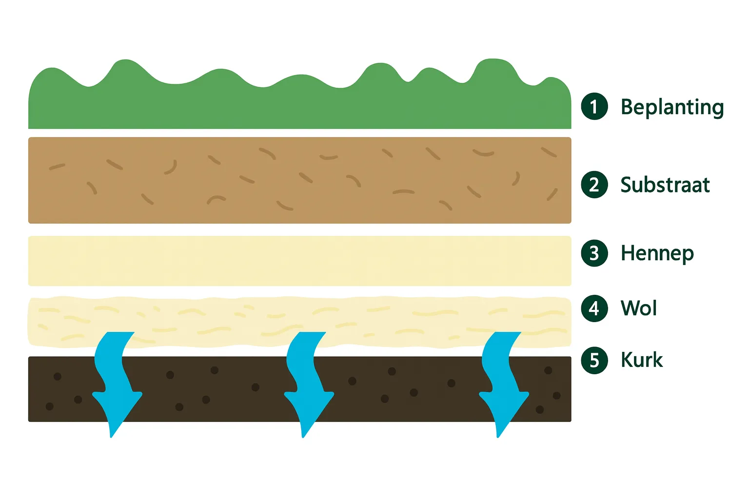 Opbouw biobased groendak