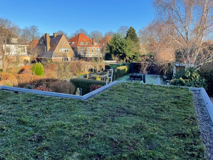 Voordelen groen dak