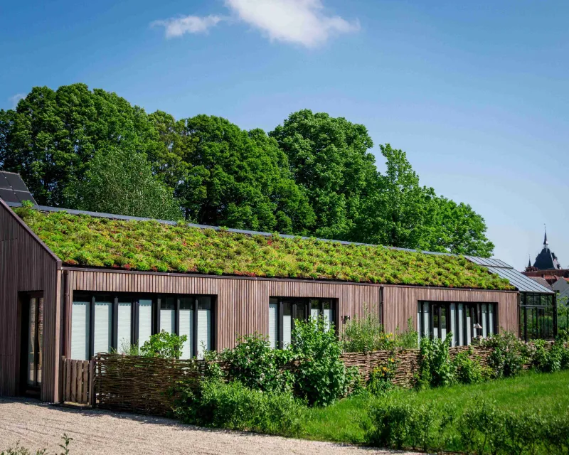 Hellend groen dak biodivers